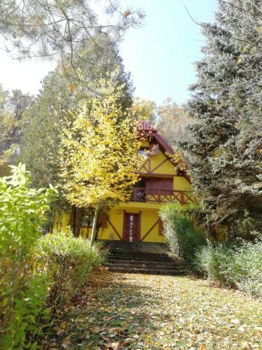 Hostal Tavas Vend�gh�z