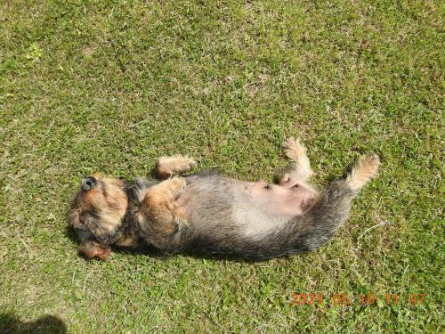 Apartamento Luku Hegyi Pihen?h�z