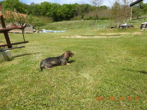 Apartamento Luku Hegyi Pihen?h�z