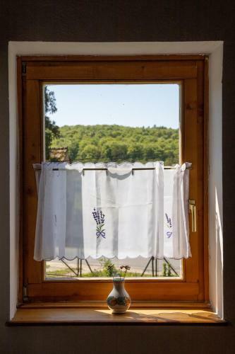 Apartamento Tulip�n Vend�gh�z Kercaszomor
