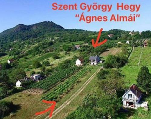 �gnes Alm�i �gnes Apples