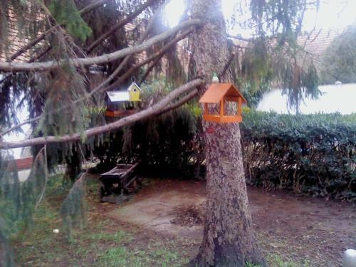 Hostal Vali Vend�gh�z