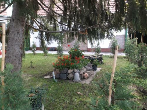 Hostal Vali Vend�gh�z