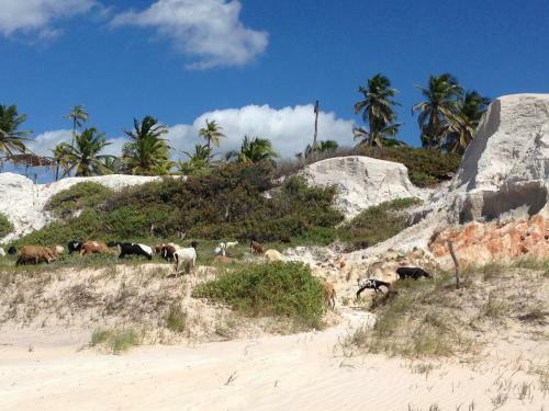Apartamento Casa De Praia