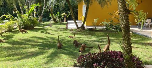 Riviera De S�o Louren�o