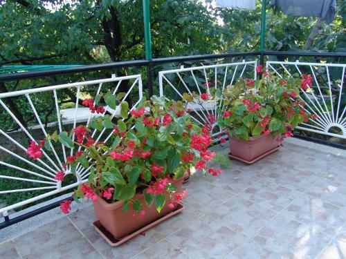Hostal Sobe Bozica