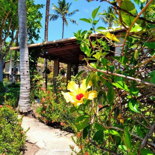 Lodge Porto Do Sol Pipa-bangal�s