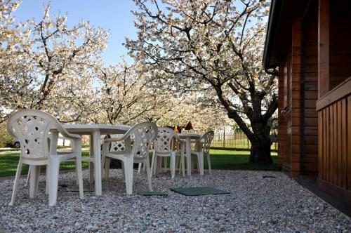 Agroturismo Agriturismo Serena
