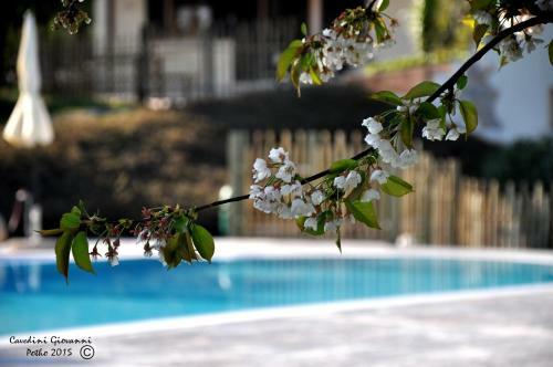 Agroturismo Agriturismo Serena