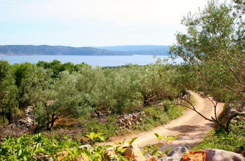 Boutique B&B Agroturizam Sv. Juraj
