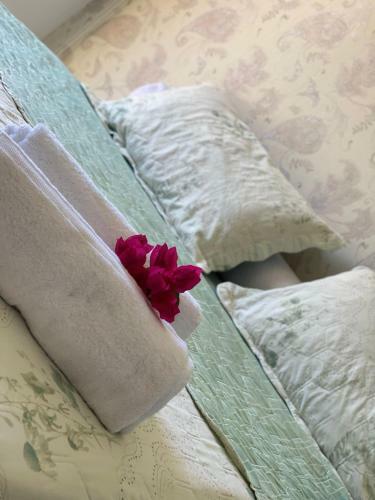 Apartamento Triplex Pipa Com Jacuzzi No Solar �gua
