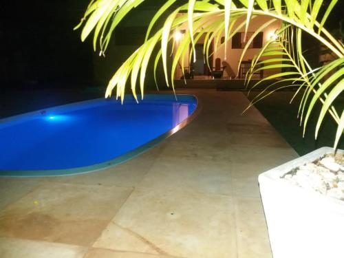 Hostal Casa Da �rvore