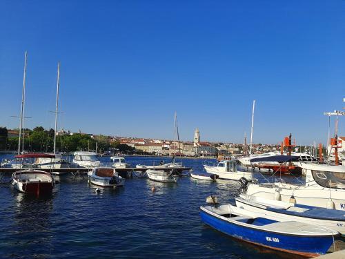 Apartment In Krk/insel Krk 36795