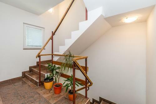 Apartments Antun