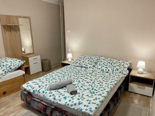 Hostal Vincze Vend�gh�z