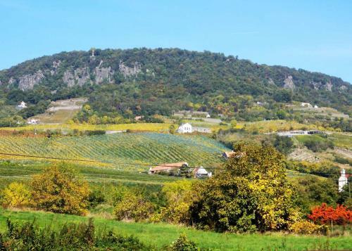 Holiday Home In Nemesgulacs/balaton 35570