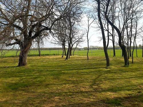 Bed & Breakfast Pagony Ber�nybenei Vend�gfogad�