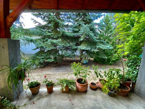 A Nyugalom Szigete H�z