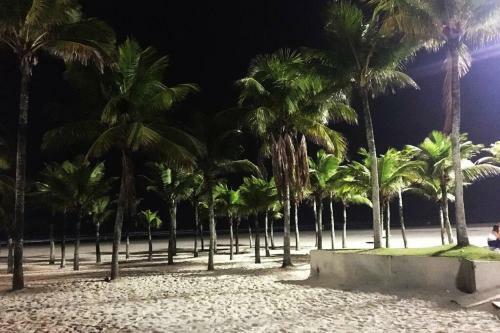 Apartamento No Canto Do Forte, Praia Grande - Sp
