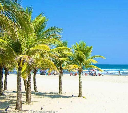 Linda E Aconchegante Casa Com Piscina Perto Da Praia