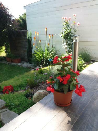 Hostal �va Apartman