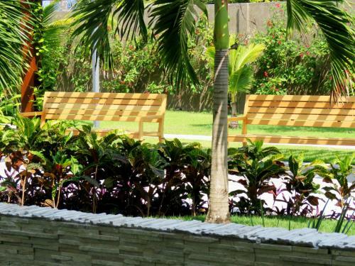 Beach Class Eco Life Muro Alto 9003
