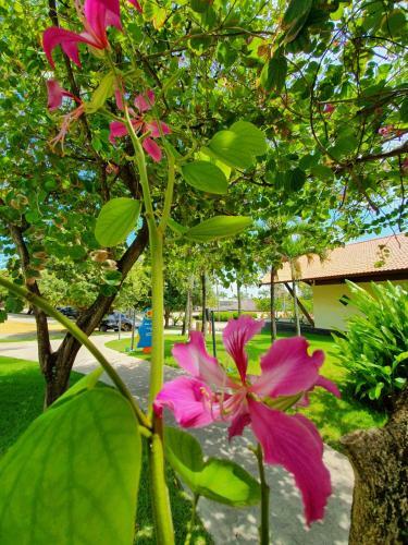 Apartamento Flat Marulhos Porto de Galinhas - 305d