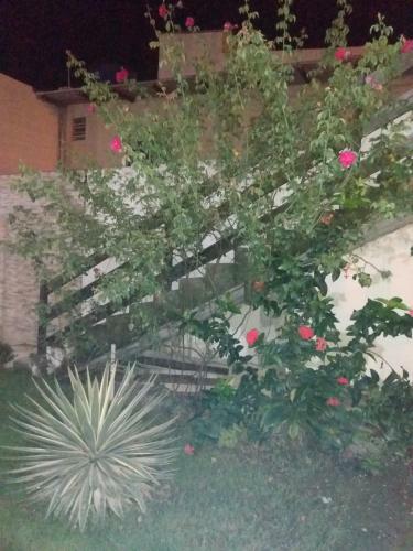 Apartamento Para At� 5 Pessoas Em Porto de Galinhas