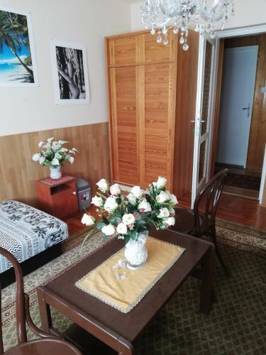 Hostal Szoboszl�f?nix Vend�gh�z