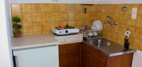Apartamento Litsa & Rosa Studios