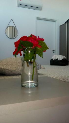 Apartamento Laguna Beach Flat Em Porto