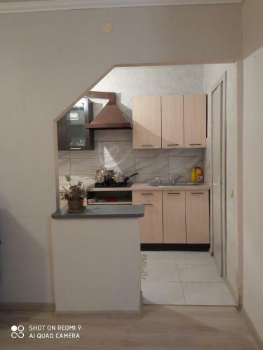 Apartamento Vieno Kambario Butas