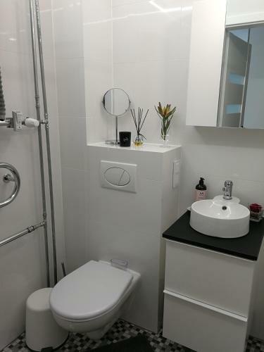 Apartamento Buto Nuoma ?viesos Gatv?je