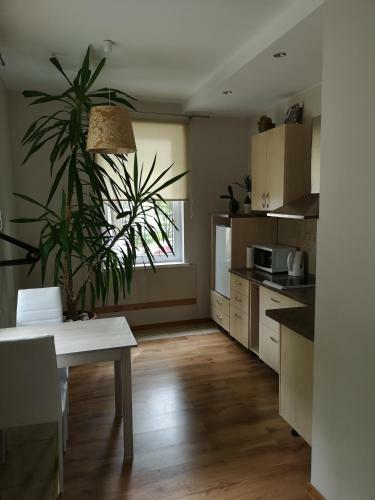 Apartamento Jaukus Butas ?iauli? Miesto Centre