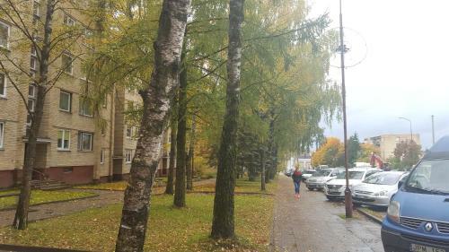 Apartamentai Vilniaus Street