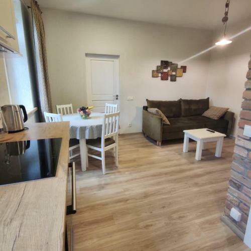 Livu Apartment 1 In The Old Town