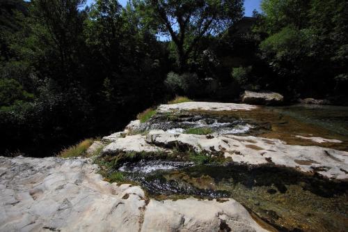 Bed & Breakfast L'ammonite, Chambre & Table D'h�tes