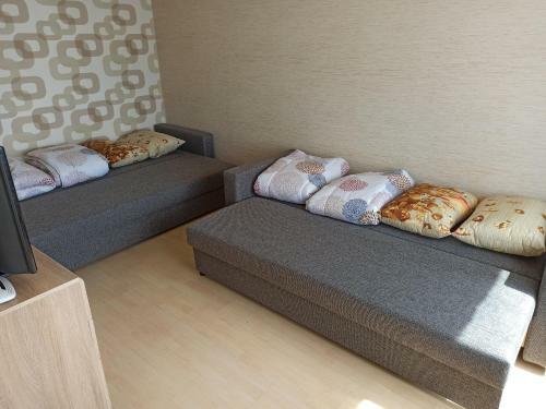 Inzenieru 87 Studio With 1 Bedroom Apartments