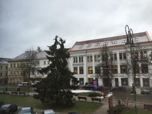 Town Hall Apartment