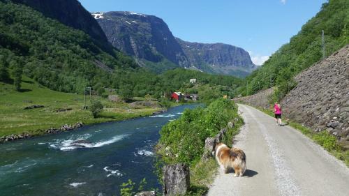 Steinsh�len Holiday Home