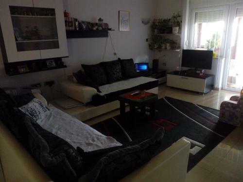 Hostal Sofi Apartment
