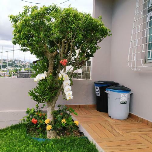 Apartamento Loft Encantador C - 8 Km de Floripa