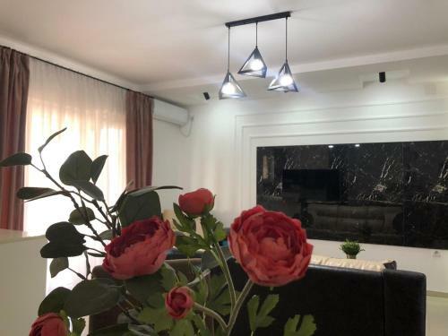Lux Apartmani Milan-o