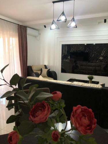 Lux Apartmani Milan-o
