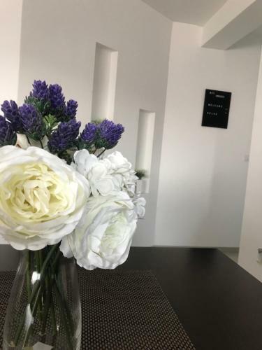 Lux Apartmani Milan-o