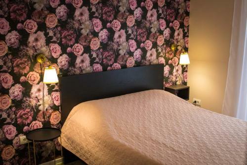 Apartmani Mis