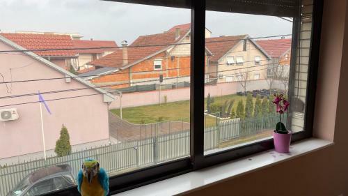 Apartamento Charlie&blueberries