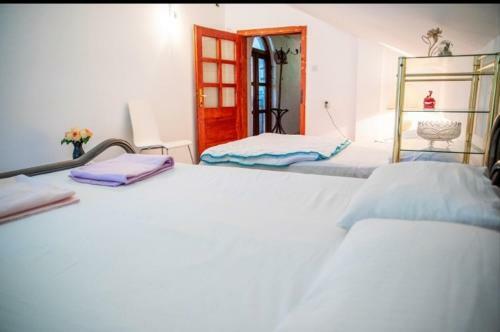 Apartmani Tina Tekija