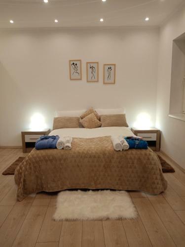 Apartman Sofi