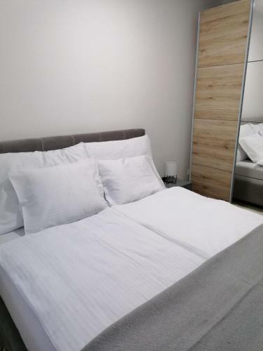 Apartman 44